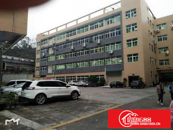 平湖富民工业区原房东独院6500平方可分租