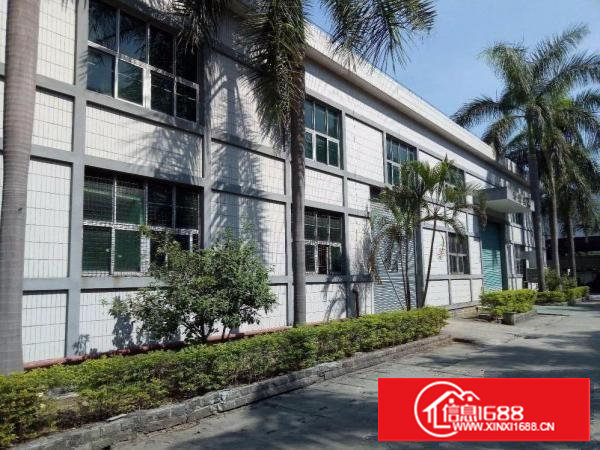 优势：9米高，可分租，类型：独院厂房，面积：3000平方米