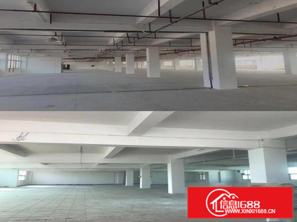 出租高埗镇高埗城区厂房（物业直招，规范管理）