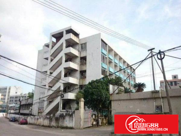 东坑坑美标准厂房楼上面积800平