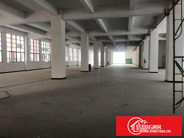 出租横沥镇山厦发展工业区标准一楼