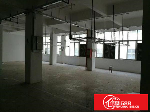 龙岗区龙东新出二楼标准厂房960平方出租