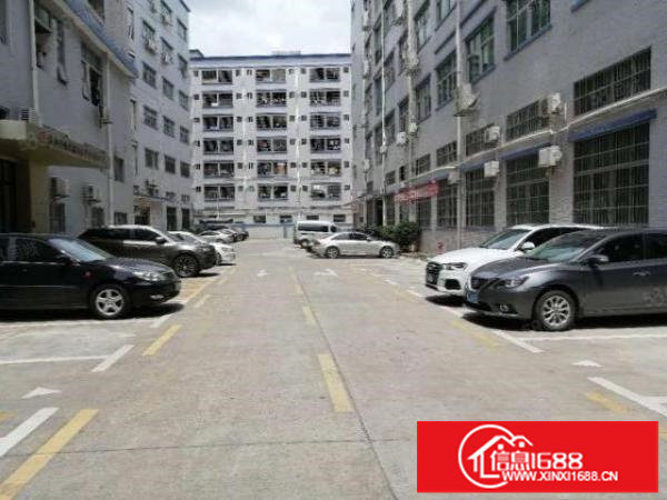 坂田一楼仓库150平200平350平500平1200平出租