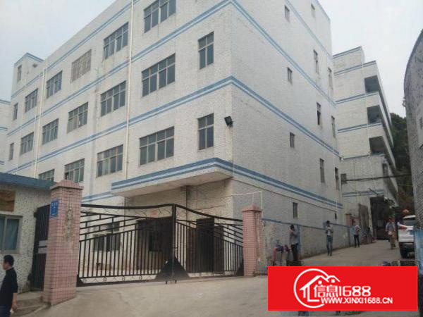 横岗西坑无公摊新出独院招租