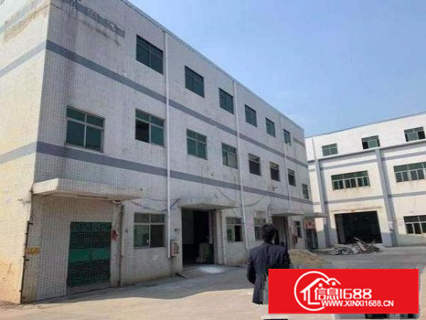 塘厦镇大坪原房东独院7500平方实际面积出租