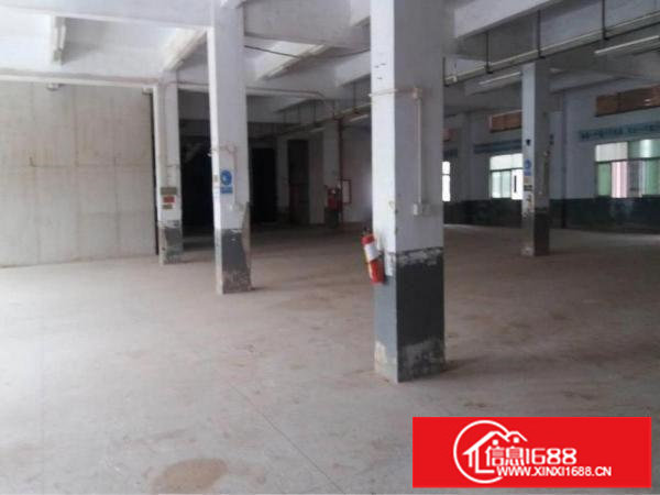 坪山石井工业区原房东独院2400平招租