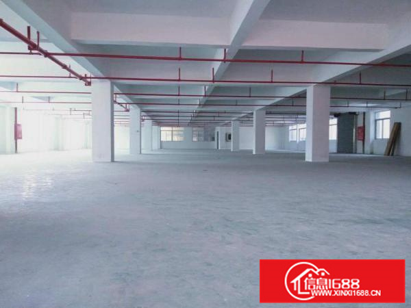 勒流标准1500方厂房出租，带消防喷淋，有房产证