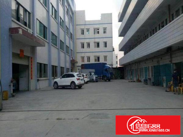 企石新出原房东独门独院标准厂房