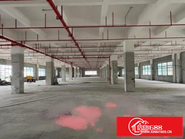 东莞茶山工业区全新原房东厂房出租