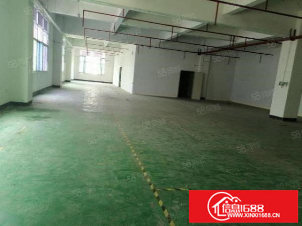 公明原房东厂房出租300.500.700之间