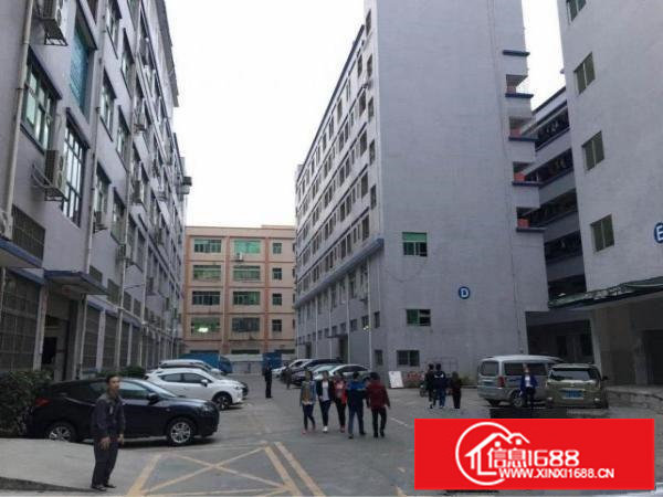 坂田杨美地铁站附近2000平米厂房出租