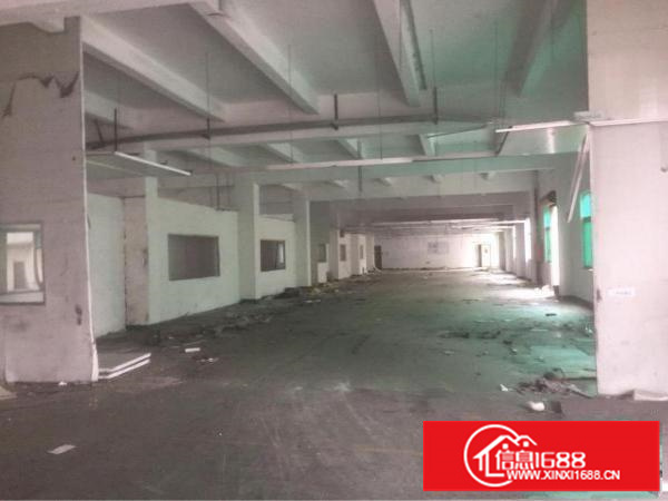 坪山独门独院厂房招租