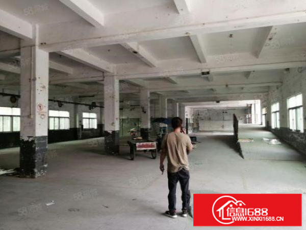 清溪新出原房东独院3厂房5640平出租分租可办环评