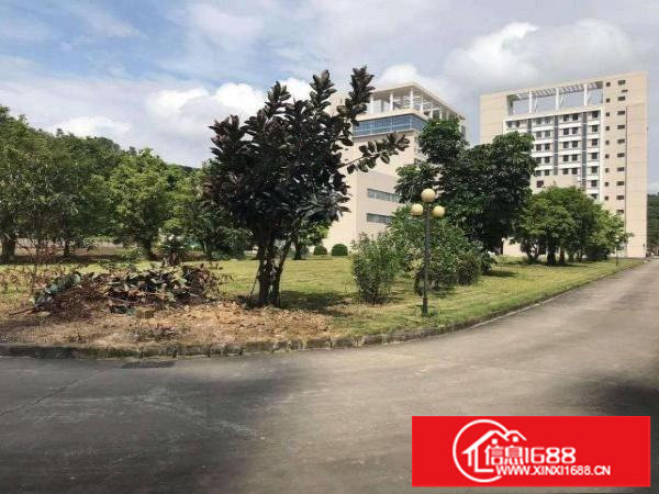 坂田天安云谷旁原房东红本厂房高新技术园区9000平，可分租