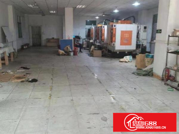 合租大朗镇水平村面积200