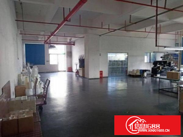 福永大洋田一楼厂房500平出租，带装修，拎包入住