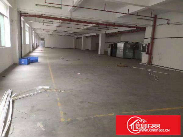 惠州惠城区三栋镇花园式可分租原房东标准厂房