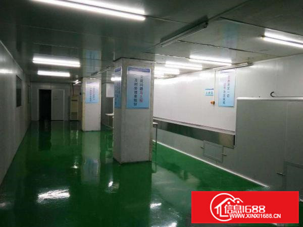 横沥镇原房东自建全新红本厂房，出租二楼6000平方米，三楼6