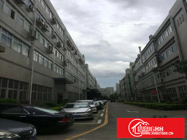 龙华大浪楼上带装修1000平原房东厂房，拎包入住