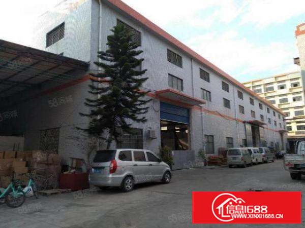 石碣单一层厂房5400方（无公摊12米高5吨行车）