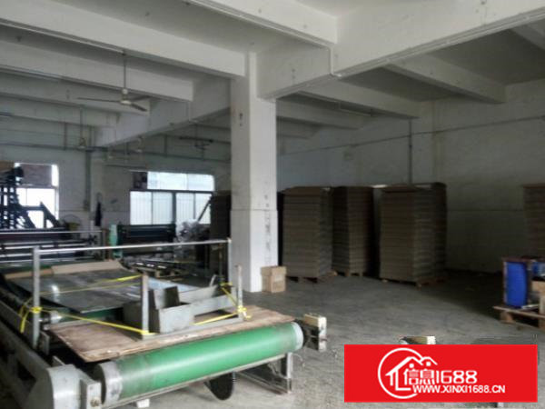 水围工业区一楼1200平米一楼厂房出租