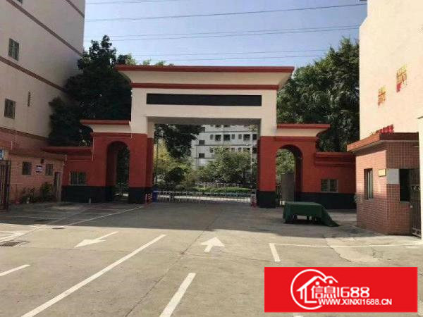 龙岗高新科技园4200至50000平红本大小分租