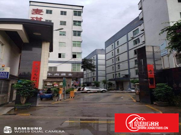 出租坂田布龙路格泰隆工业区B栋5楼2300平方，可分租