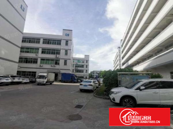 沙井200平到20000平厂房招租一楼仓库出租带无尘车间装修