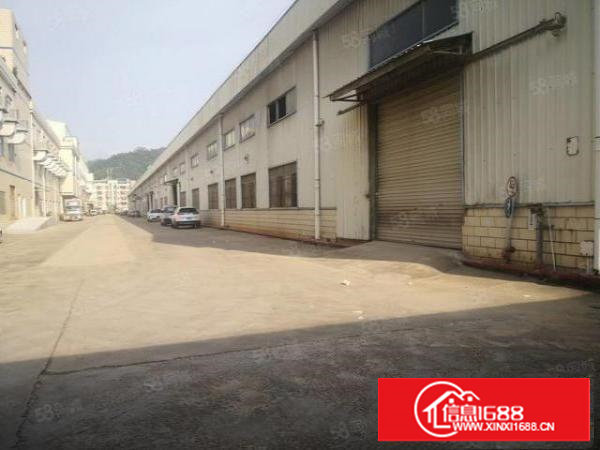 自营的干起！塘厦石马1200平铁皮厂房，原房东出租只要13元