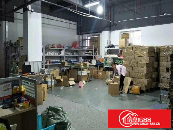 横岗街道办边楼上精装电商办公室250平米招租