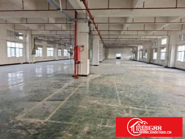 松岗燕川原房东带消防喷淋厂房三层各3100平可分租空地大