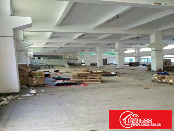 横岗一楼厂房520平1100平仓库22元出租