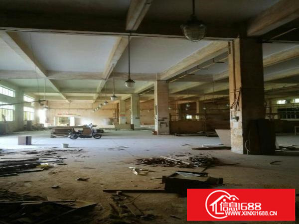 龙镇宝龙独院带办公楼厂房招租