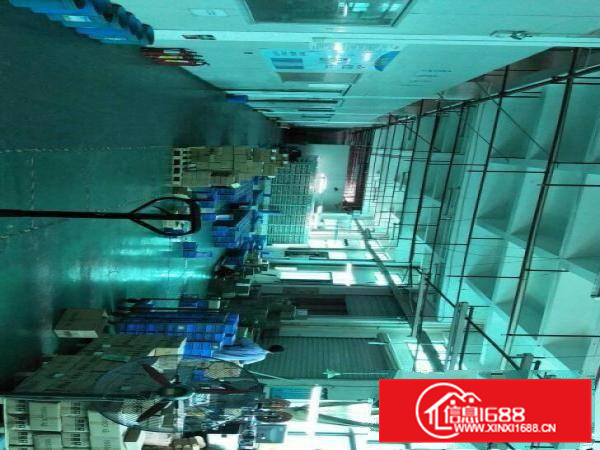 惠阳新墟800平一楼带装修厂房有喷淋地坪漆空地超大