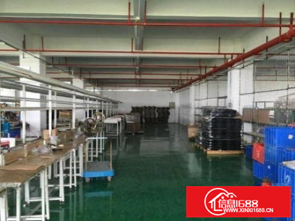 带装修招租丹灶桂丹路1楼1550平电子厂房