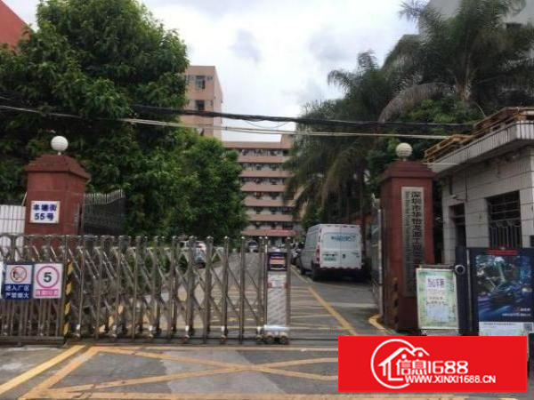 厂房宽敞明亮。可做电商、仓库、小型加工厂等