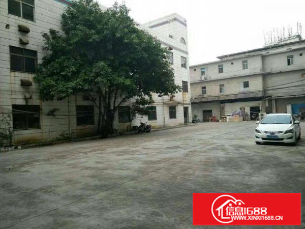 桥头镇独院厂房3层2800平方带水井13元