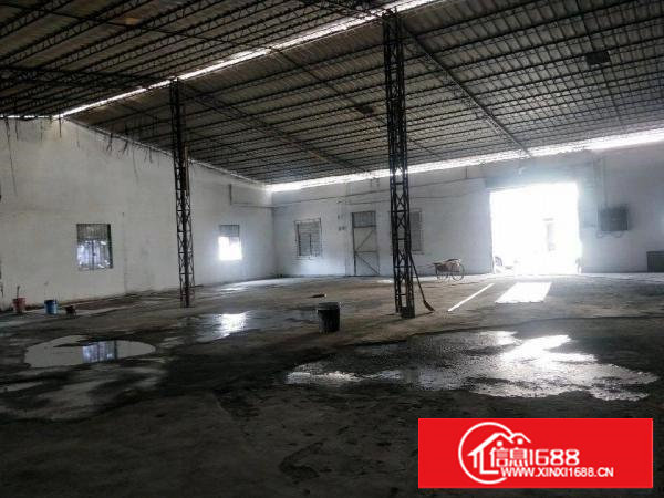 全翻新单一层独院厂房