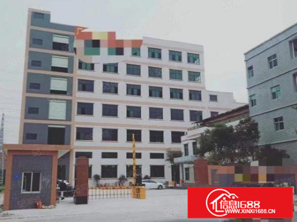 寮步镇独门独院标准厂房13层9000平方，单层面积3000