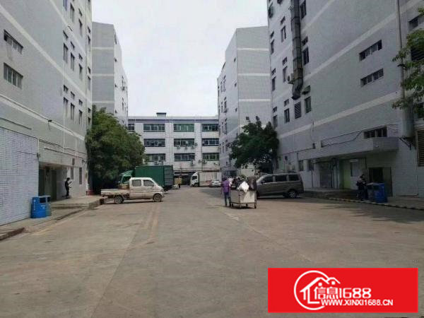 清溪九乡金竹街，楼上新出1000平，只要13元