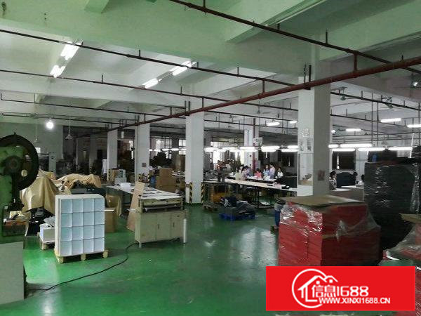 连平村空出原房东独门独院1~3层4000平厂房出租可办环坪