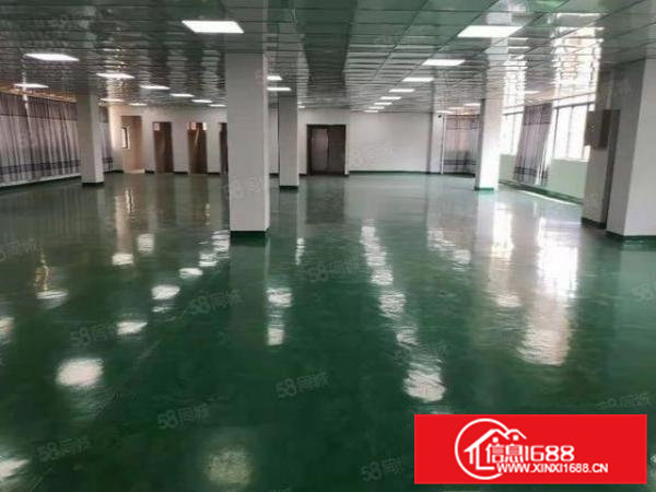 东莞桥头原房东标准楼上无尘车间现成主线到车间150工业用地