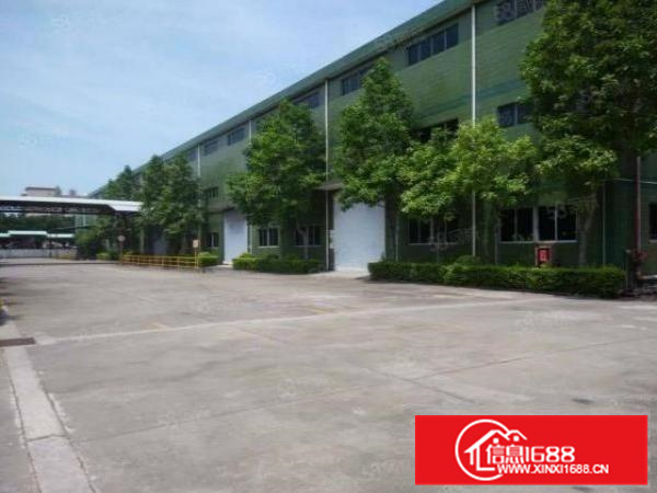 独院简易1600方正实用有房产证进车方便配电大不拆迁a