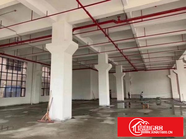 东坑镇草塘路厂房出租2300平方