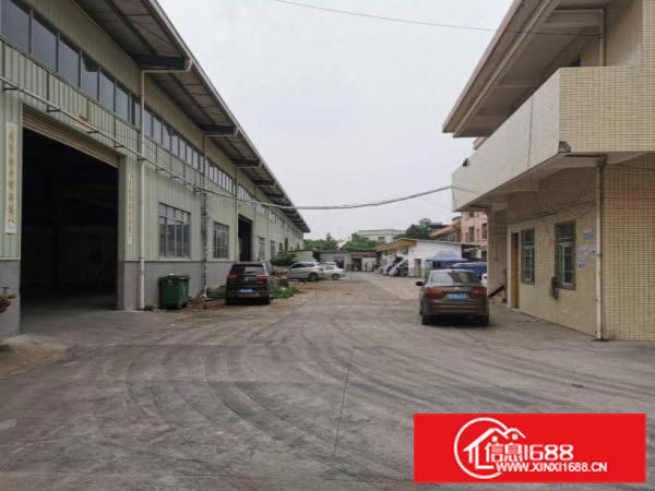 南社租客分租钢结构单一层厂房2000平方滴水8米