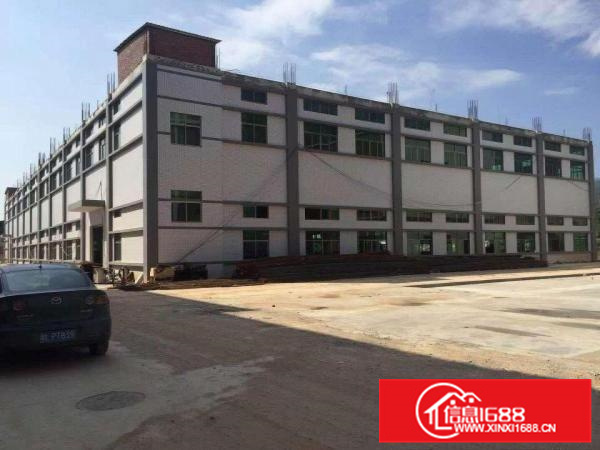 泰美原房东全新工业园14元招租可签15年合同