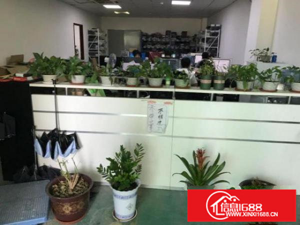 急转300方电商办公仓库7260价格实惠