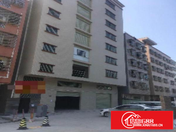 ~塘厦龙背岭一楼500平（含阁楼）二楼以上388平，原房东~