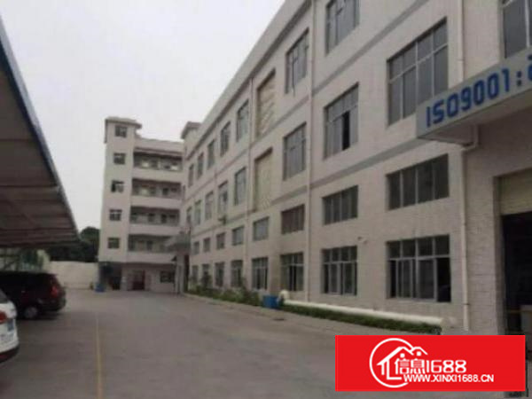 万江6米高一楼带豪华装修1000平米厂房招租水电齐全