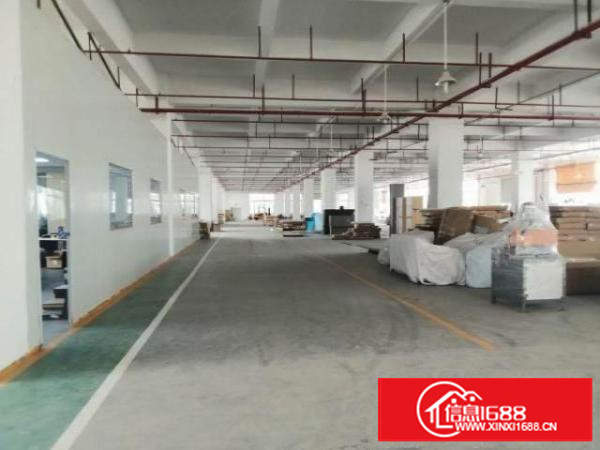 石碣四甲租客分租租金便宜厂房出租